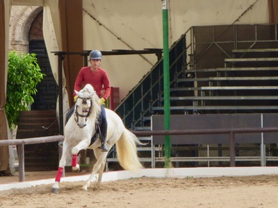 picture of Cordoba
 Spain
