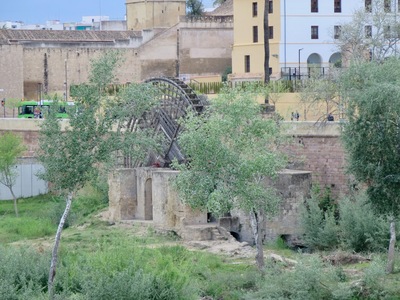 picture of Cordoba
 Spain