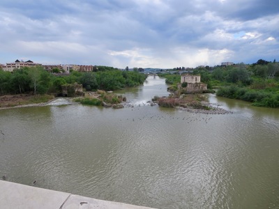 picture of Cordoba
 Spain