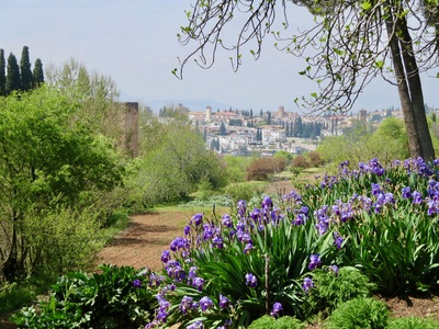 picture of Granada
 Spain