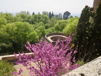 picture of Granada
 Spain
