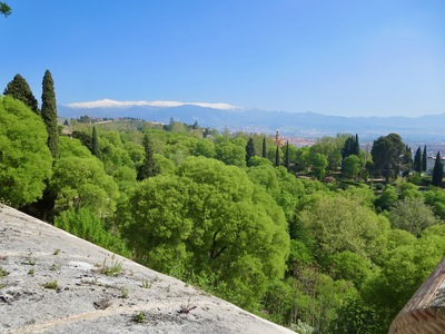 picture of Granada
 Spain
