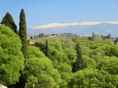 picture of Granada
 Spain