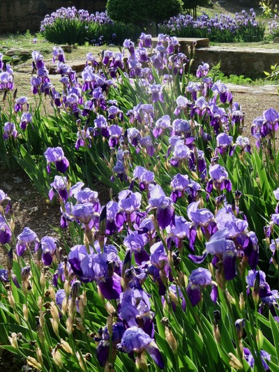 picture of Granada
 Spain