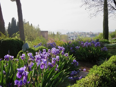 picture of Granada
 Spain