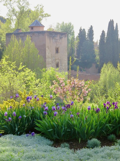 picture of Granada
 Spain