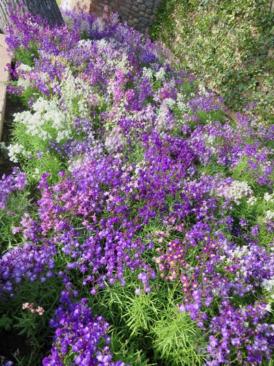 picture of Granada
 Spain