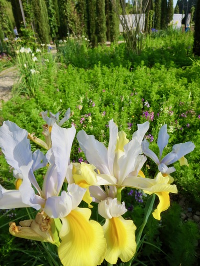 picture of Granada
 Spain