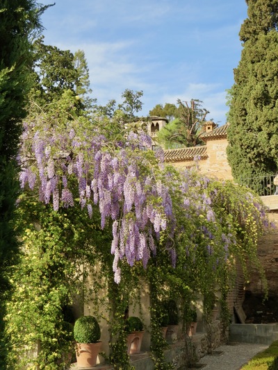 picture of Granada
 Spain