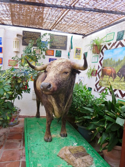 picture of Mijas
 Spain