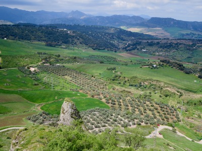 picture of Ronda
 Spain