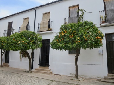 picture of Ronda
 Spain