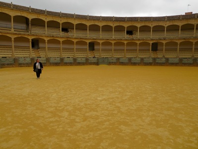 picture of Ronda
 Spain