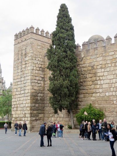 picture of Seville
 Spain