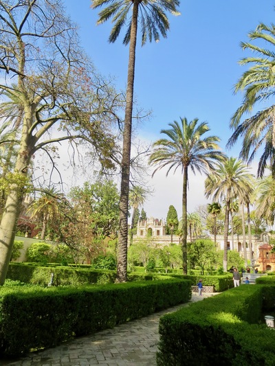 picture of Seville
 Spain