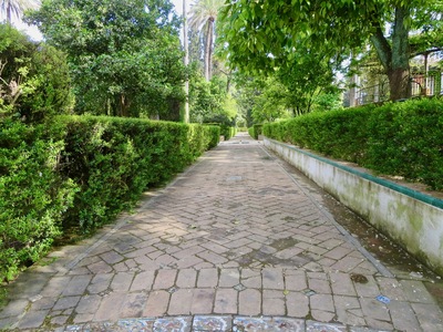 picture of Seville
 Spain