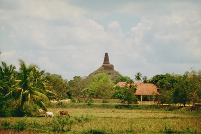 picture of Anuradhapura
 SriLanka