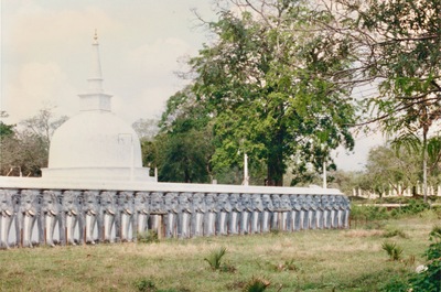 picture of Anuradhapura
 SriLanka