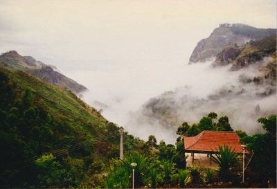 picture of Tea plantations in the hill country
 SriLanka