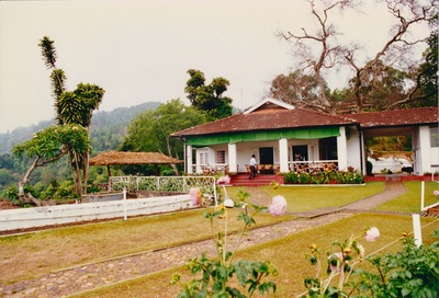 picture of Tea plantations in the hill country
 SriLanka