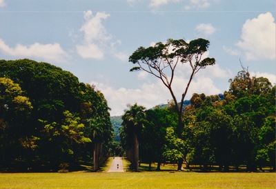 picture of Kandy
 SriLanka