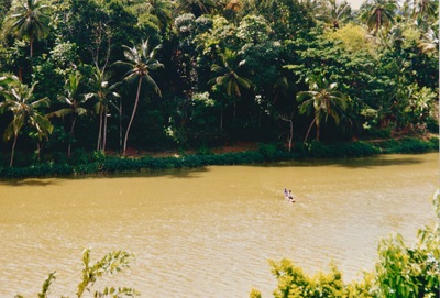 picture of Pinawella elephant orphanage
 SriLanka