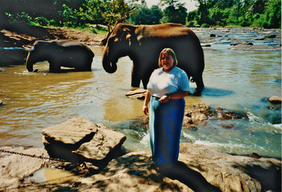 picture of Pinawella elephant orphanage
 SriLanka