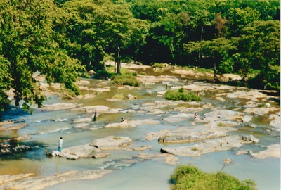 picture of Pinawella elephant orphanage
 SriLanka