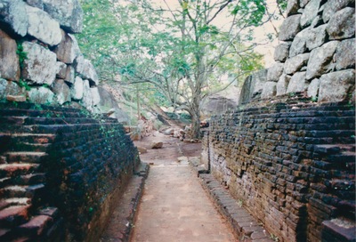 picture of Sigiriya
 SriLanka