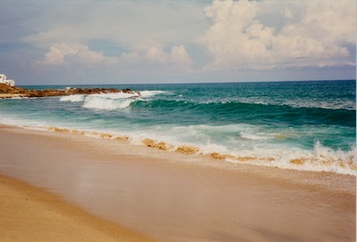 picture of The west coast
 SriLanka