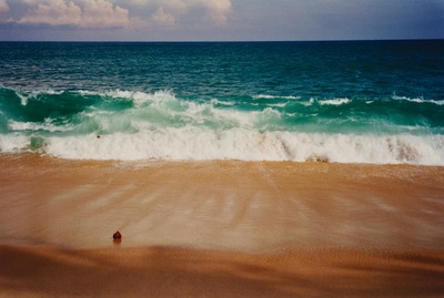 picture of The west coast
 SriLanka