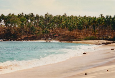 picture of The west coast
 SriLanka
