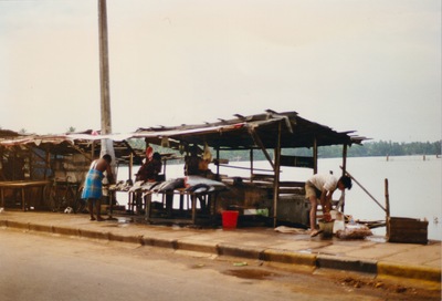 picture of The west coast
 SriLanka