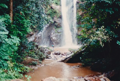 picture of Chaing Mai Jungle Trek
 Thailand