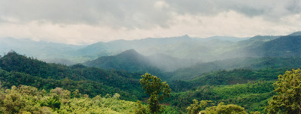 picture of Chaing Mai Jungle Trek
 Thailand