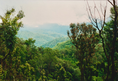 picture of Chaing Mai Jungle Trek
 Thailand