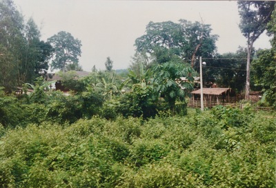 picture of Chaing Mai Jungle Trek
 Thailand