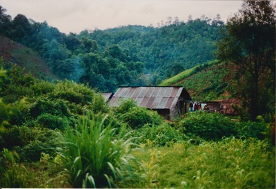 picture of Chaing Mai Jungle Trek
 Thailand