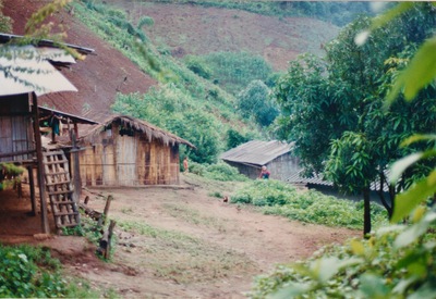 picture of Chaing Mai Jungle Trek
 Thailand