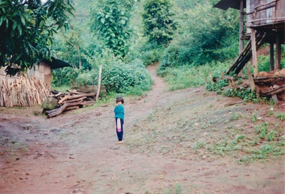 picture of Chaing Mai Jungle Trek
 Thailand