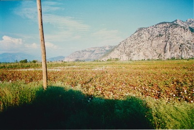 picture of Dalyan 1998
 Turkey