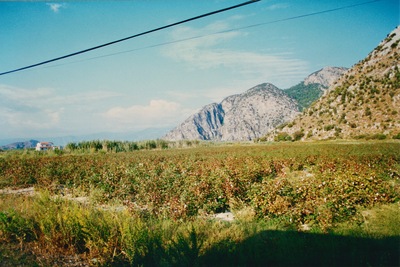 picture of Dalyan 1998
 Turkey