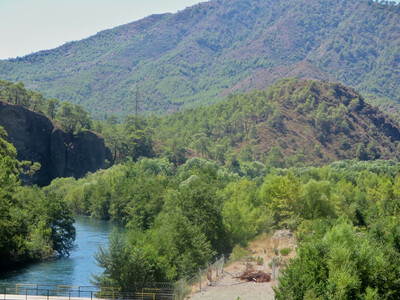 picture of Dalyan 2015
 Turkey