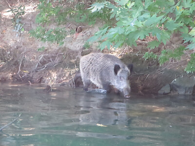 picture of Dalyan 2015
 Turkey