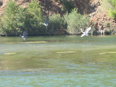 picture of Dalyan 2015
 Turkey