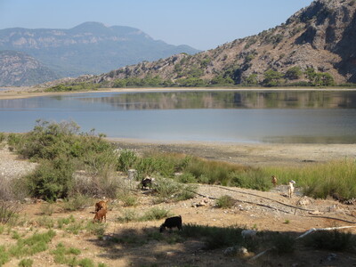 picture of Dalyan 2015
 Turkey