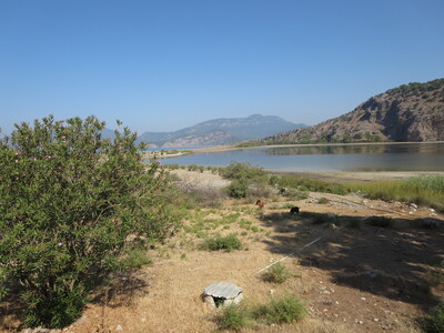 picture of Dalyan 2015
 Turkey