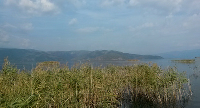 picture of Dalyan 2018
 Turkey