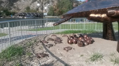 picture of Dalyan 2018
 Turkey