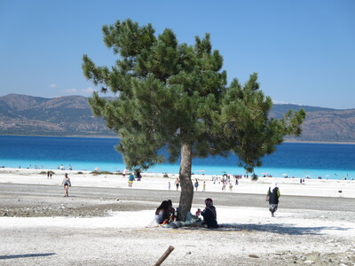 picture of Dalyan 2018
 Turkey